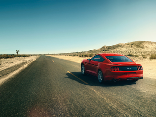 Illustration for article titled 2015 Mustang Photo Dump